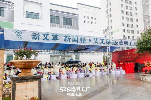 艾艾贴526透明工厂溯源之旅,带你领略艾草文化
