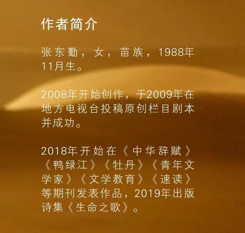 荐书 炫动的尘埃 国际文化出版公司,张东勤著