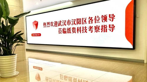 武汉市汉阳区考察团一行莅临纸贵科技北京公司开展座谈交流