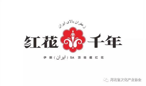 第六届河北省特色文化产品博览交易会参展商介绍 五十四